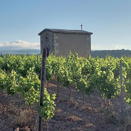 Domaine Saint Augustin Villa Rieux-Minervois Exterior photo