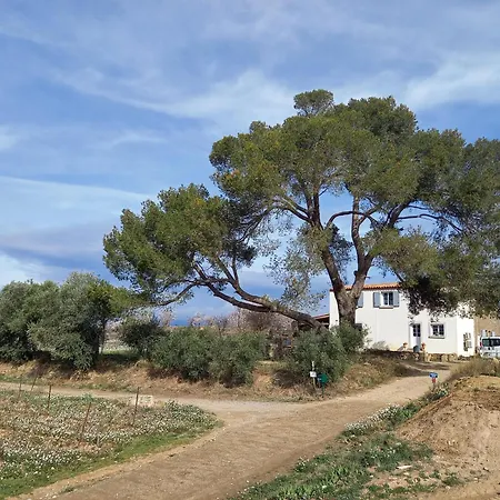 Domaine Saint Augustin Villa Rieux-Minervois Exterior photo