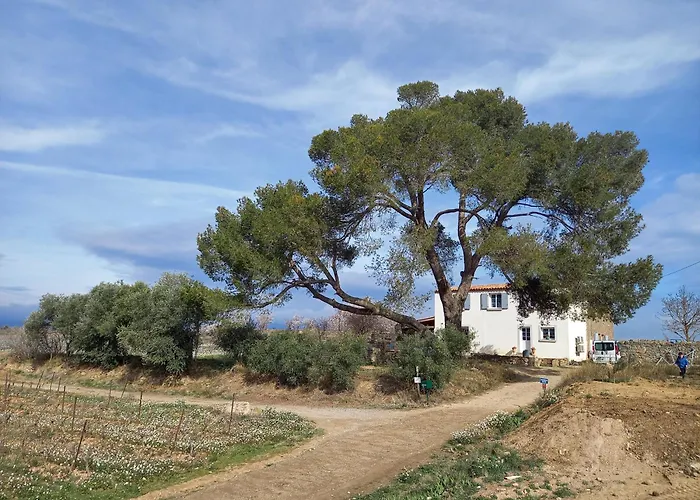 Domaine Saint Augustin